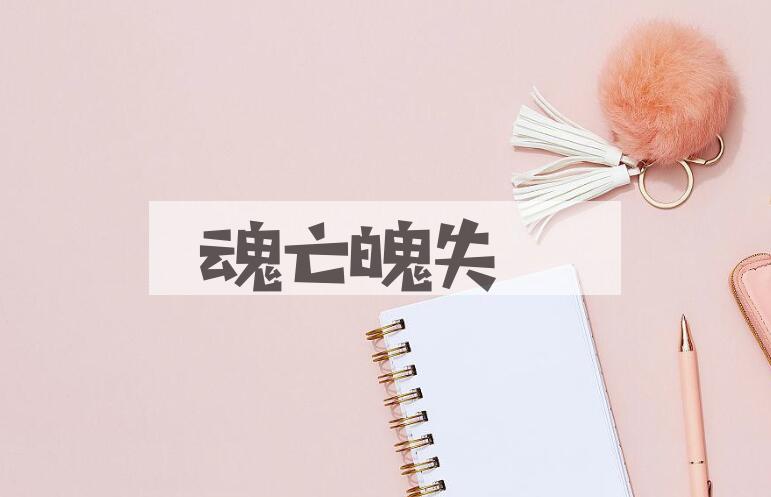 成语魂亡魄失是什么意思？