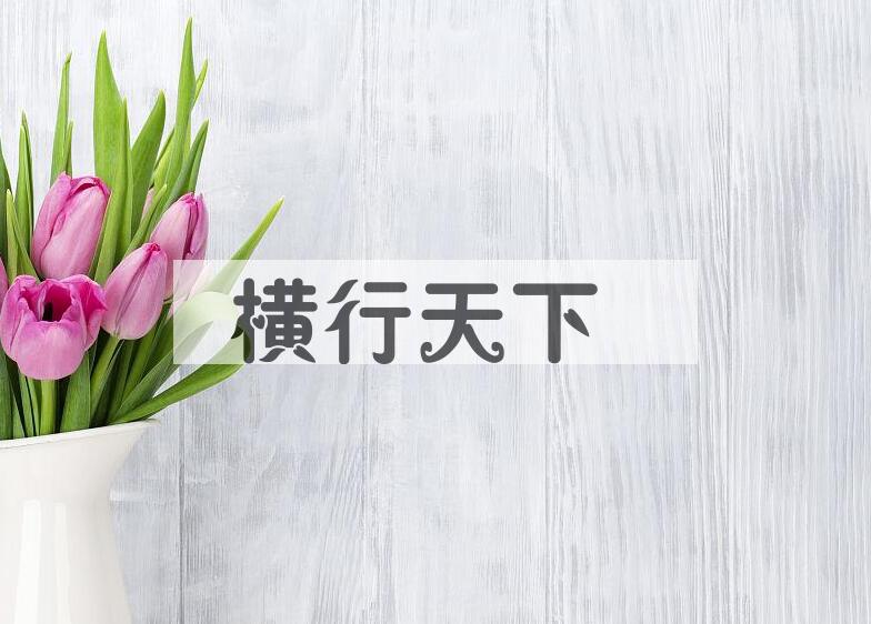 成语横行天下是什么意思？