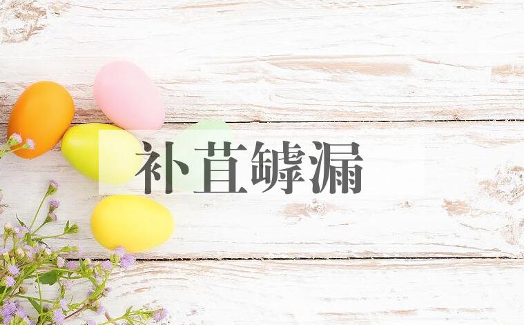 成语补苴罅漏是什么意思？
