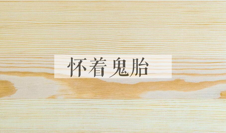 成语怀着鬼胎是什么意思？