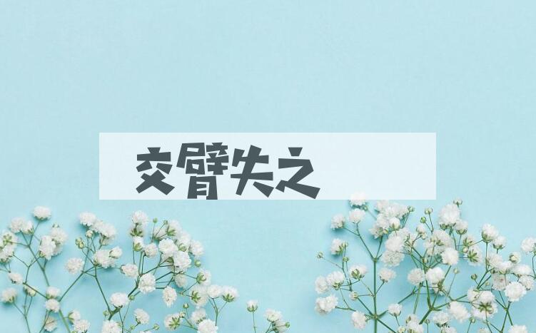 成语交臂失之是什么意思？