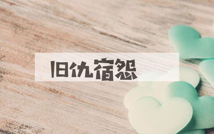 成语旧仇宿怨是什么意思？