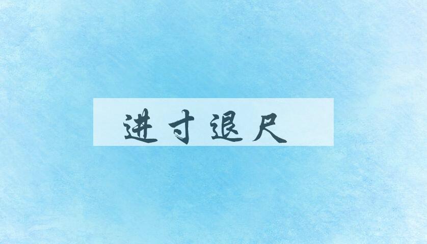 成语进寸退尺是什么意思？