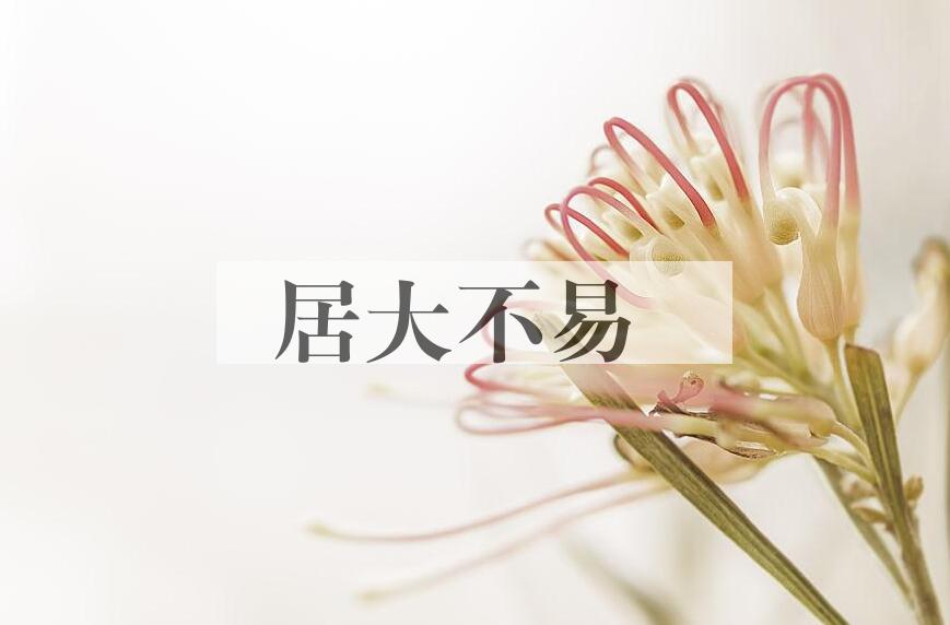 成语居大不易是什么意思？