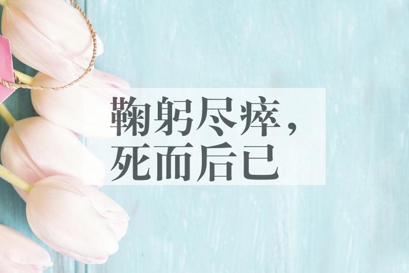 成语鞠躬尽瘁，死而后已是什么意思？