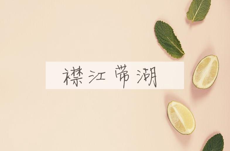 成语襟江带湖是什么意思？