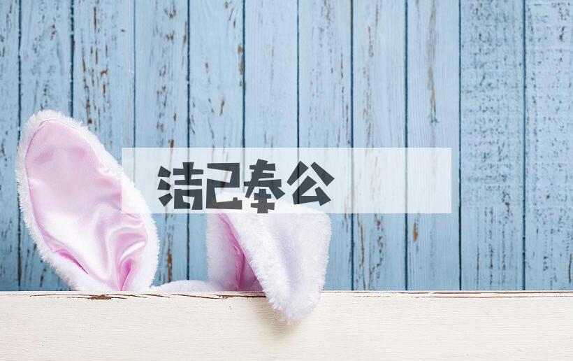 成语洁己奉公是什么意思？