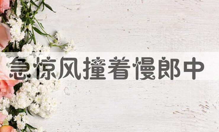 成语急惊风撞着慢郎中是什么意思？