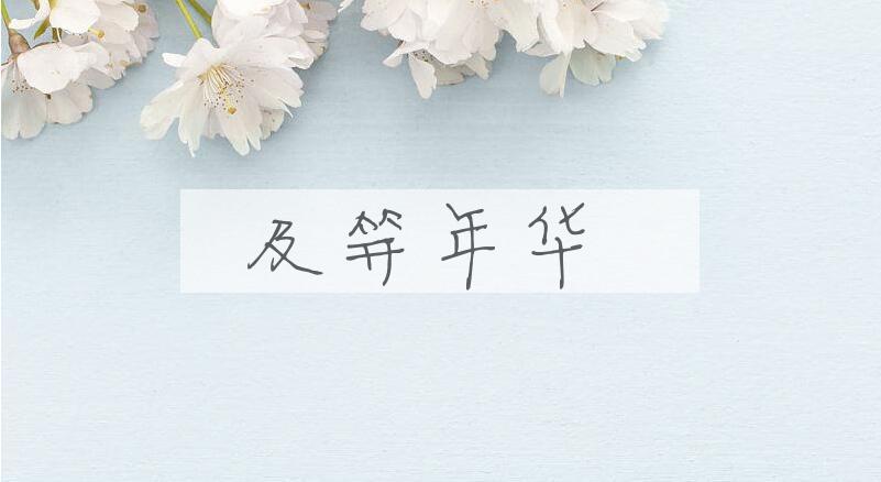 成语及笄年华是什么意思？