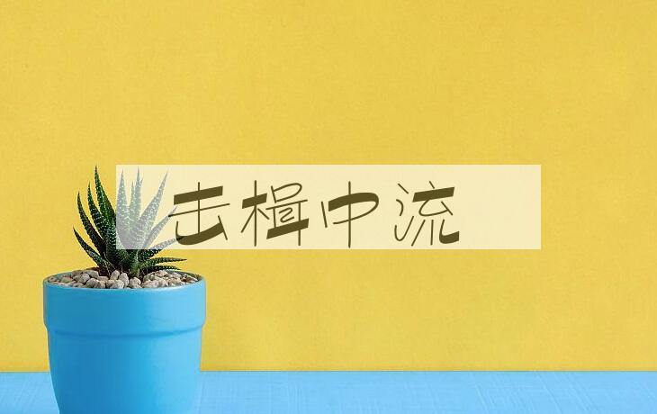 成语击楫中流是什么意思？