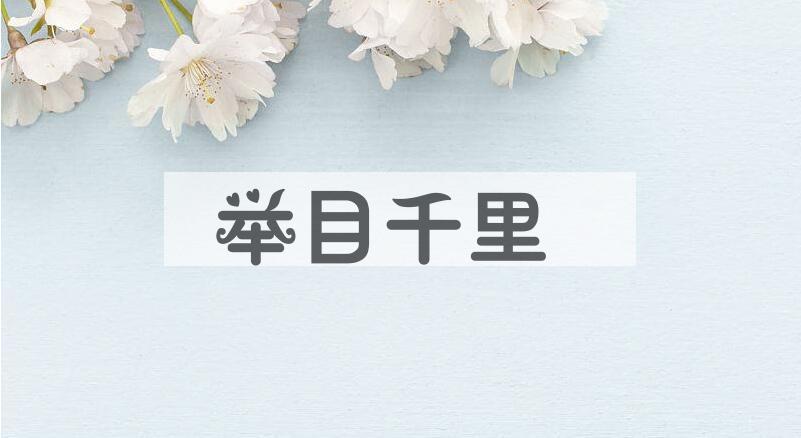 成语举目千里是什么意思？