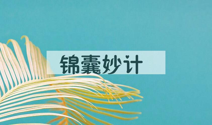 成语锦囊妙计是什么意思？