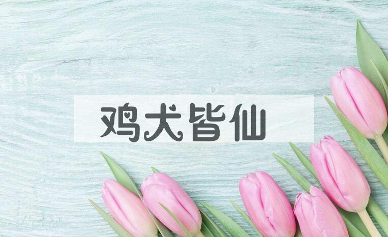 成语鸡犬皆仙是什么意思？