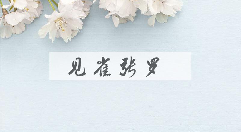 成语见雀张罗是什么意思？
