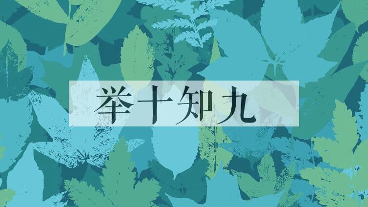 成语举十知九是什么意思？