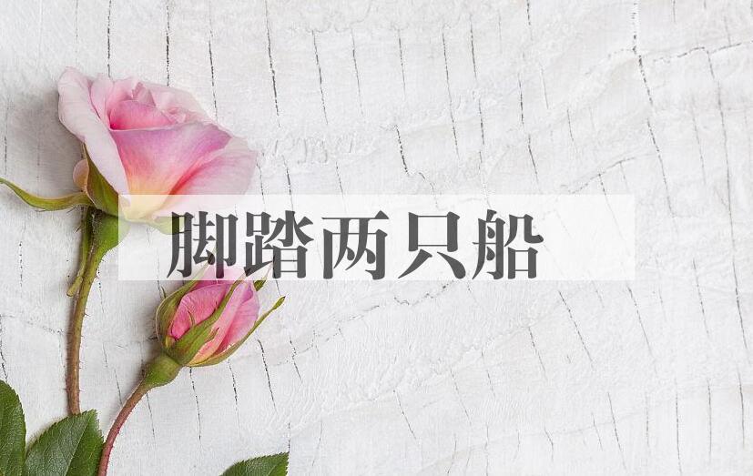 成语脚踏两只船是什么意思？