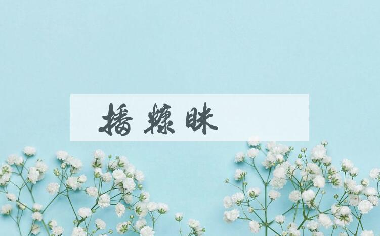 成语播糠眯目是什么意思？