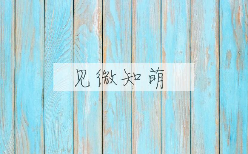 成语见微知萌是什么意思？