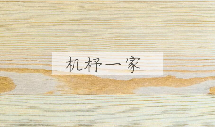 成语机杼一家是什么意思？
