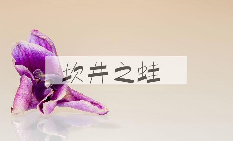 成语坎井之蛙是什么意思？