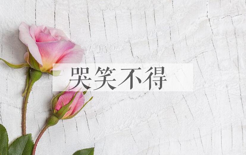 成语哭笑不得是什么意思？