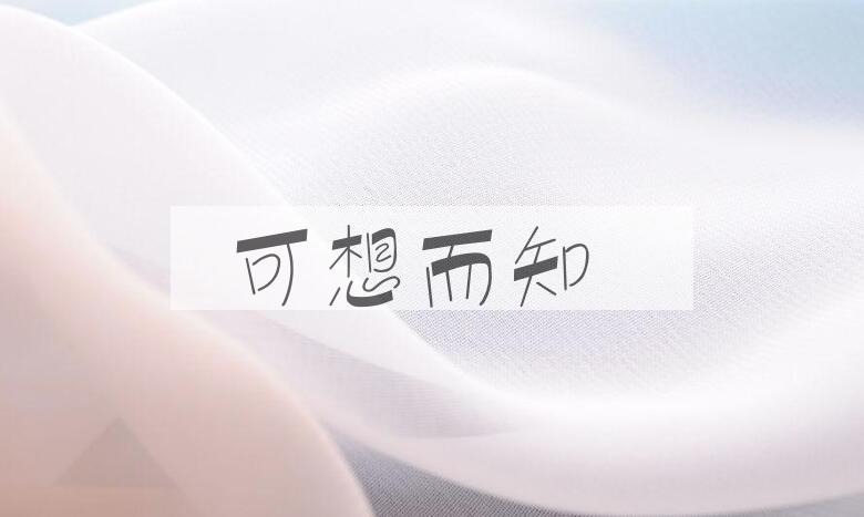 成语可想而知是什么意思？
