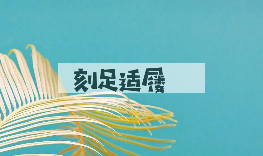 成语刻足适屦是什么意思？