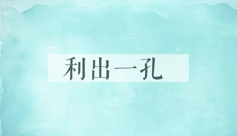 成语利出一孔是什么意思？