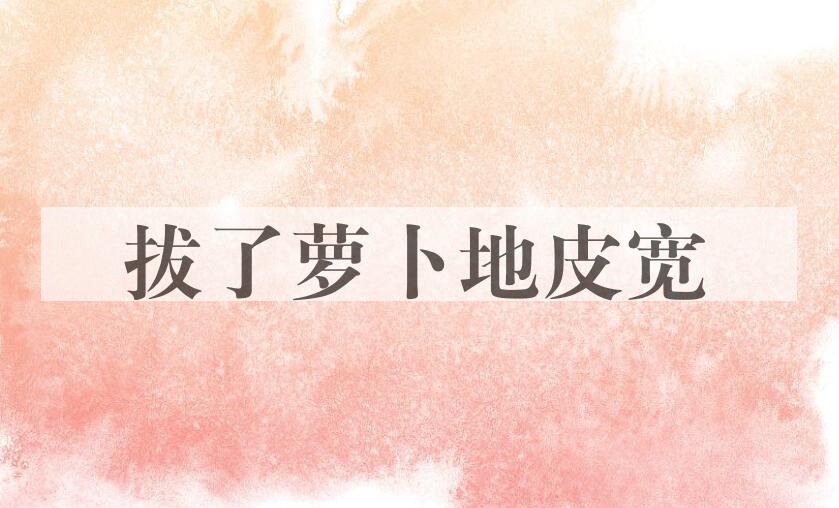 成语拔了萝卜地皮宽是什么意思？