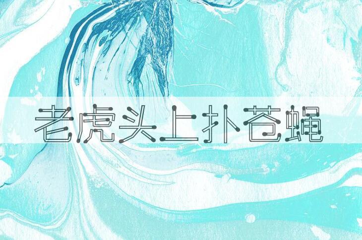 成语老虎头上扑苍蝇是什么意思？