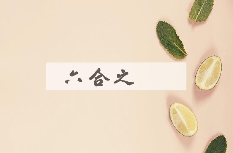 成语六合之内是什么意思？