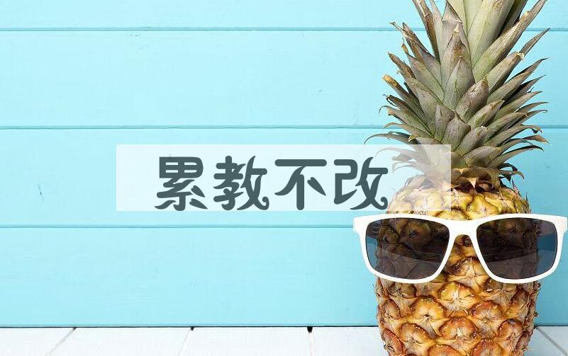 成语累教不改是什么意思？