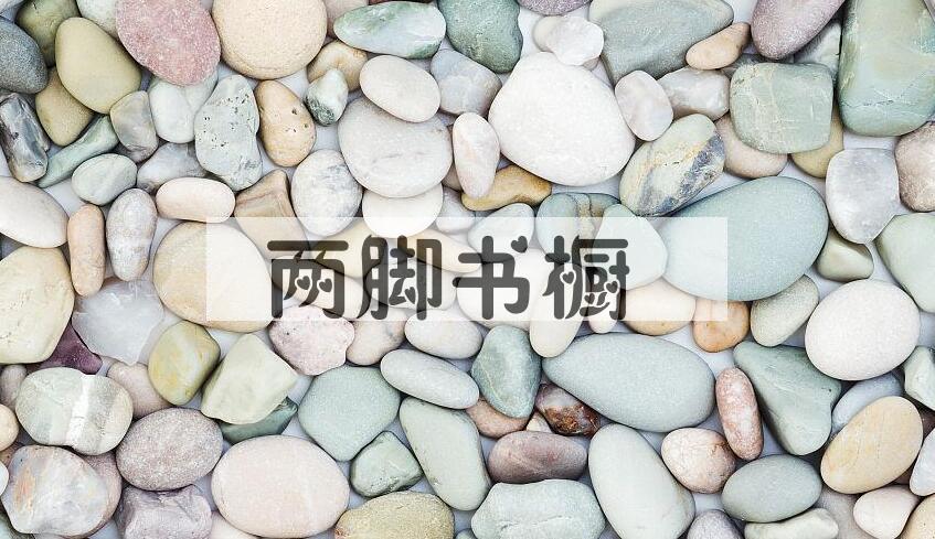 成语两脚书橱是什么意思？