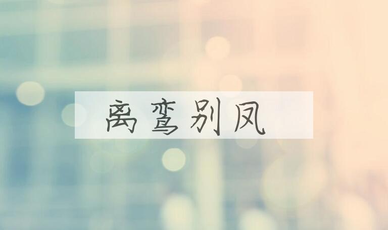 成语离鸾别凤是什么意思？