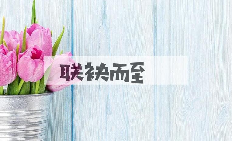 成语联袂而至是什么意思？