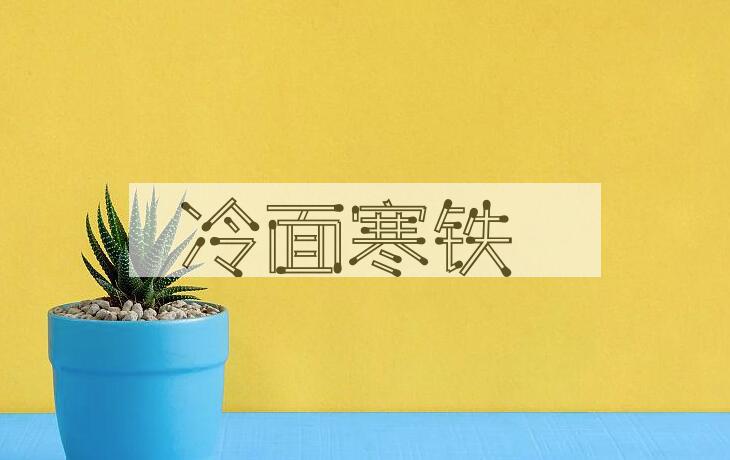 成语冷面寒铁是什么意思？