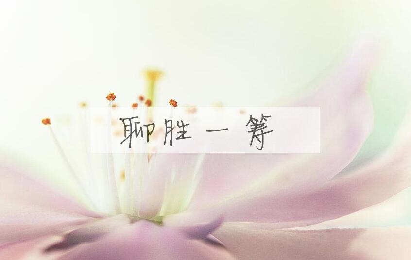 成语聊胜一筹是什么意思？