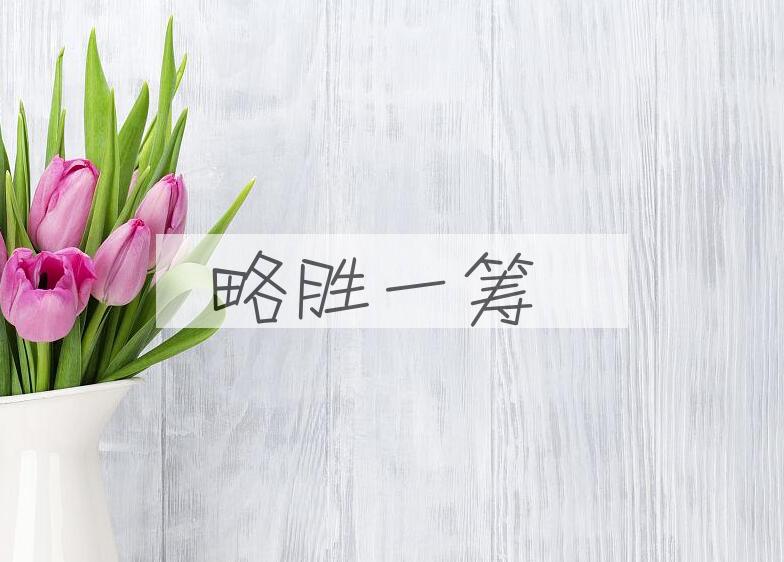 成语略胜一筹是什么意思？