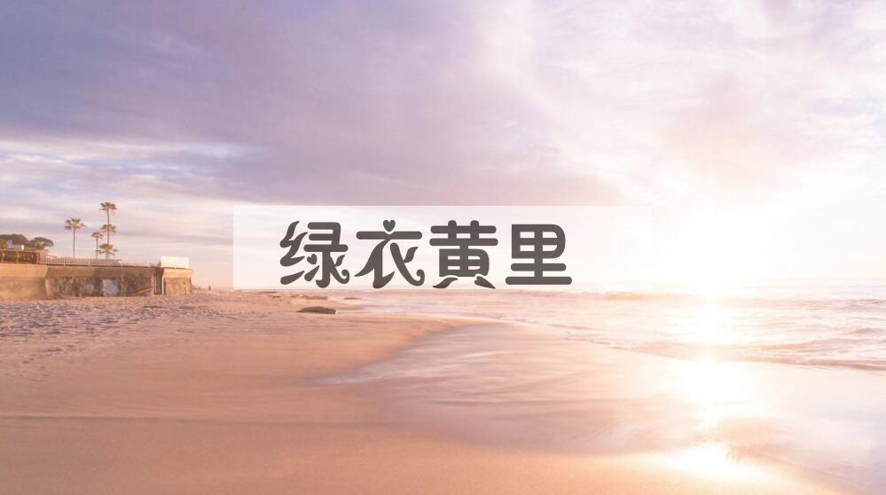 成语绿衣黄里是什么意思？