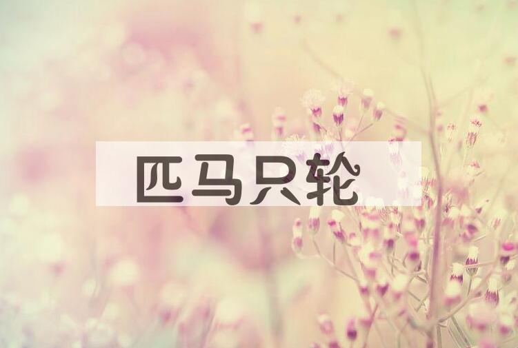 成语匹马只轮是什么意思？