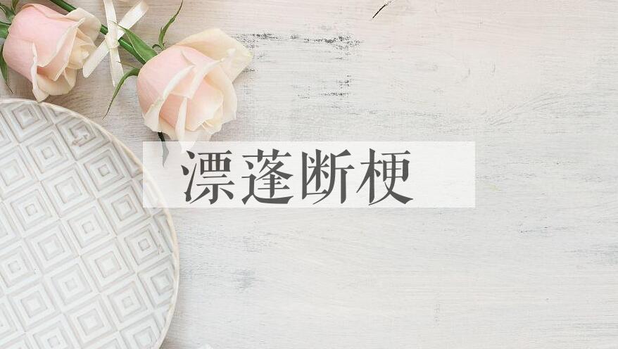 成语漂蓬断梗是什么意思？