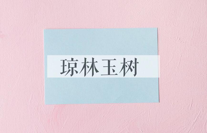 成语琼林玉树是什么意思？