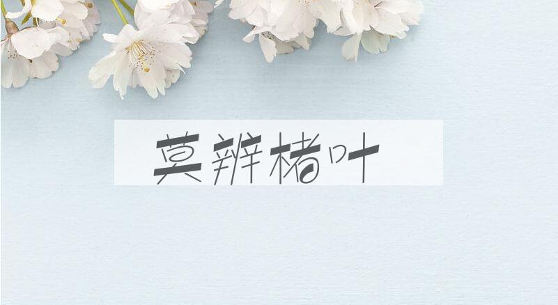 成语莫辨楮叶是什么意思？