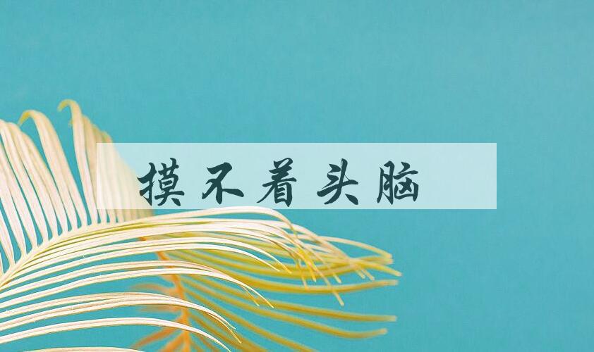 成语摸不着头脑是什么意思？