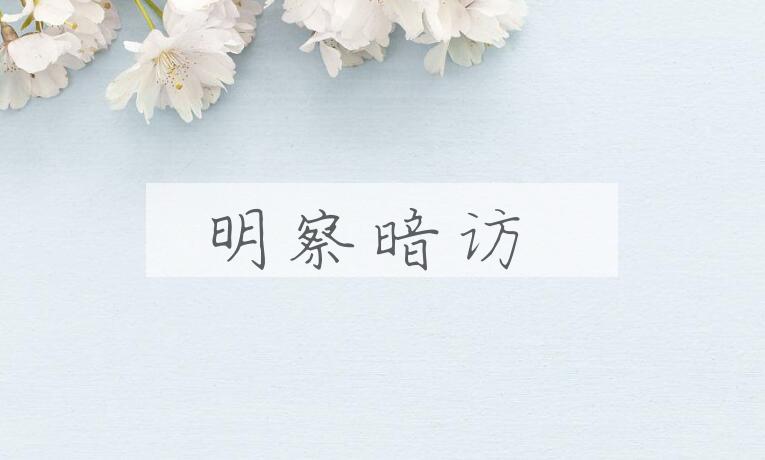 成语明察暗访是什么意思？