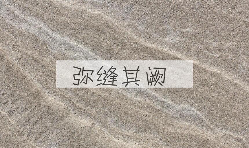 成语弥缝其阙是什么意思？