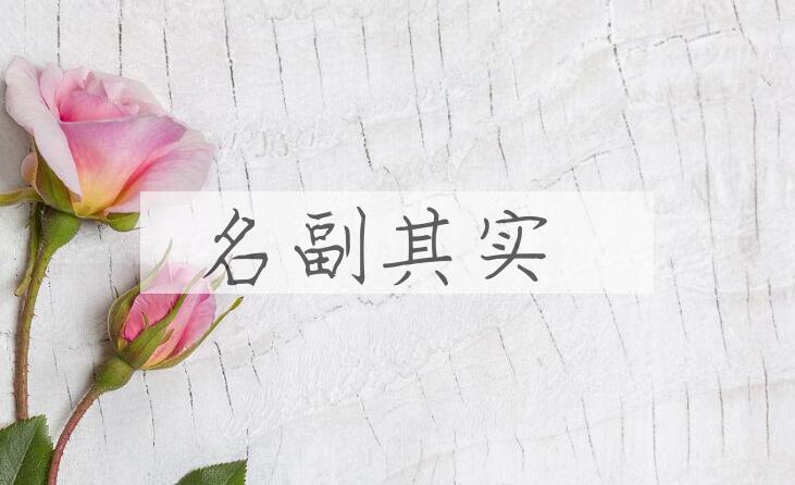 成语名副其实是什么意思？