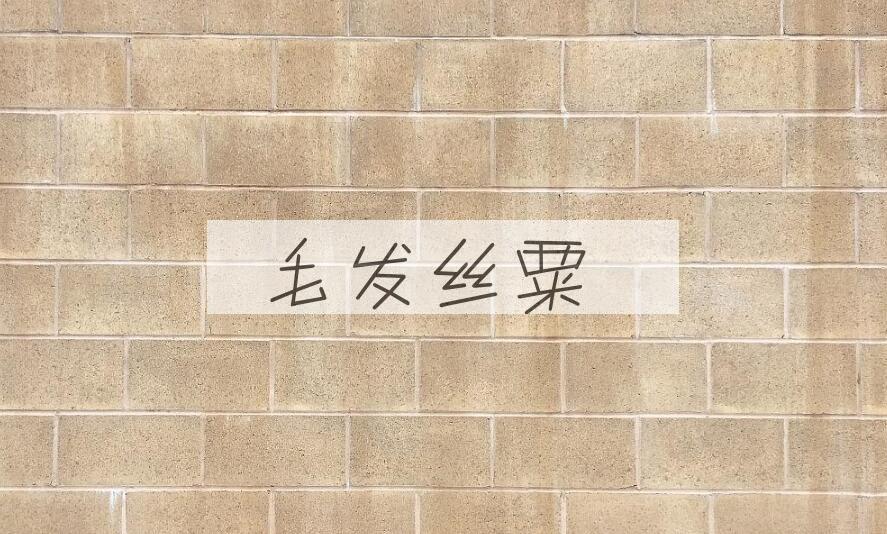 成语毛发丝粟是什么意思？