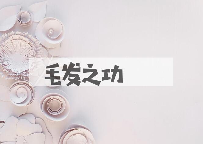 成语毛发之功是什么意思？