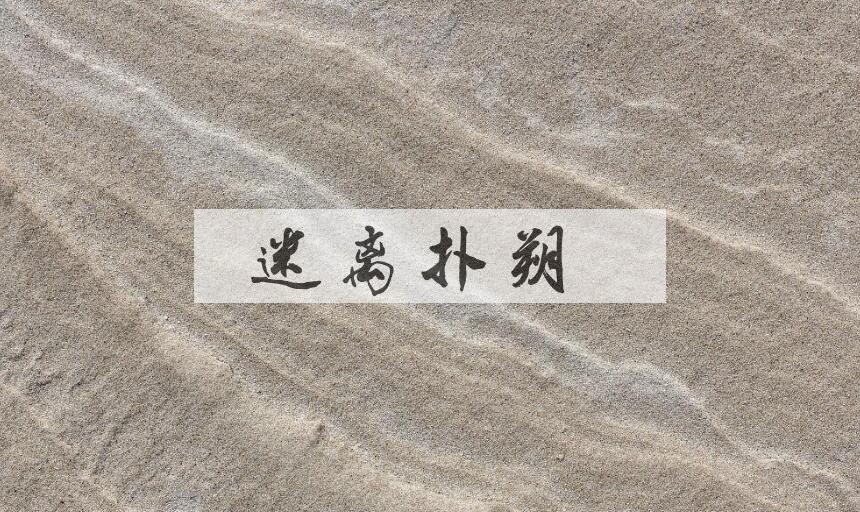 成语迷离扑朔是什么意思？